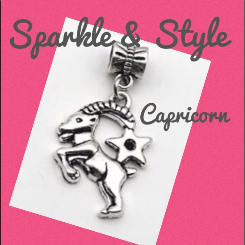 ✨Capricorn zodiac bracelet charm ✨